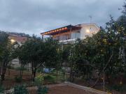 Laertis house