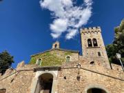 Top Castagneto Carducci