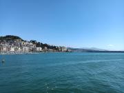 Top Genoa