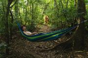 Finca Murillo