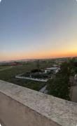 Top Tanger