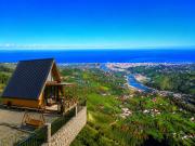 Top Rize
