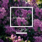 La Bouganville MV