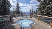 Top Whistler