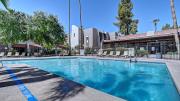 Top Scottsdale
