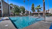 Top Scottsdale