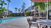 Top Scottsdale
