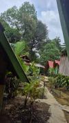 Top Buenaventura