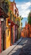 Top San Miguel de Allende