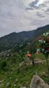 Top Dharamshala