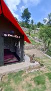 Top Dharamshala