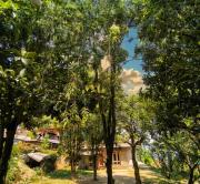 Top Kasauli