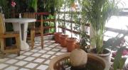 Top Chiang Mai