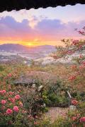 Top Ấp Ða Lôc