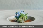 VILLA COMMUNICO,Nara