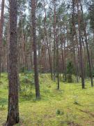 Top Łukęcin