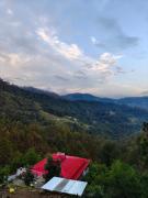 Top Almora