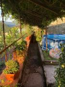 Top Cocciglia