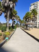Top Algarrobo Top Algarrobo