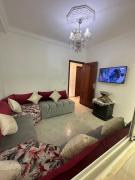 Super Modern and stylish Apart with great location