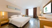 Top Zhanjiang