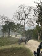 Top Jakhalābāndha