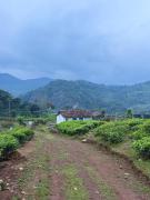 Top Kotagiri