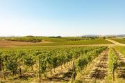 Top Montepulciano