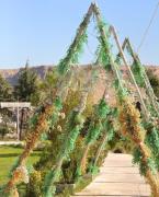 Top Mardin