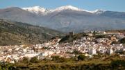 Top Vélez de Benaudalla
