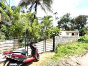 Top Wayanad
