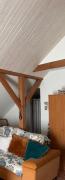 Top Kolonia Salnia