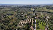 Top Bolgheri