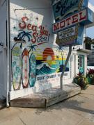 Top Wildwood Top Wildwood
