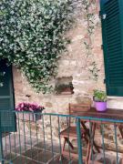 Top Torrenieri