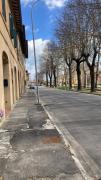 Top Torrenieri