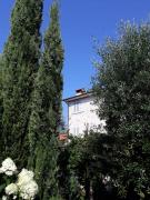 Top Vallecchia