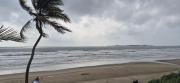 Top Malvan