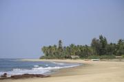 Top Malvan