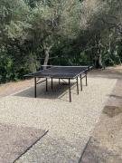 Top Alassio