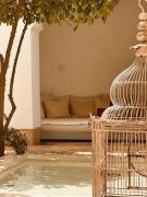 Top Marrakesz