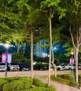 Top Gurgaon
