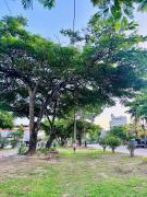 Top Pucallpa