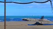 Top Pescara