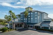 Top Sarasota