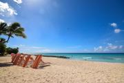 Casual St. Lawrence Gap apt near beach - Terraces 104