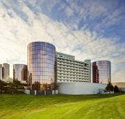 Top Rosemont