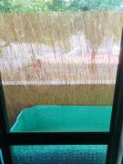 Quarto 2 viseu