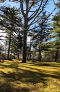 Top Bar Harbor