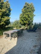 Top Todi